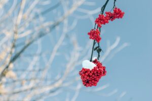 Read more about the article 용인푸르지오원클러스터모델하우스 꼭 가봐야 하는 이유